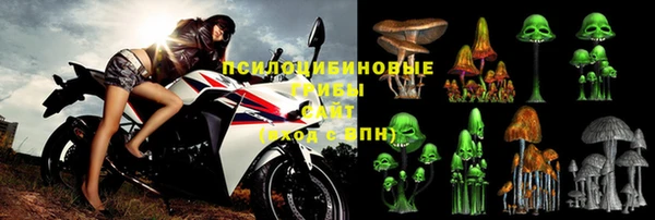 соль ск Навашино