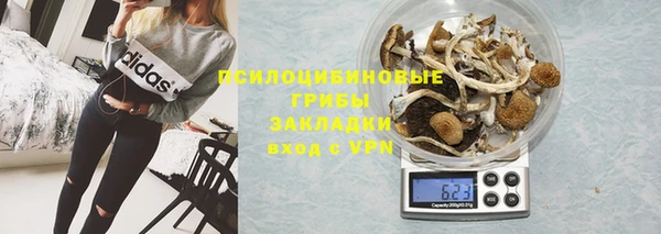 шишки Зеленокумск