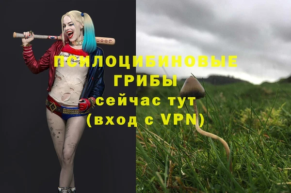шишки Зеленокумск