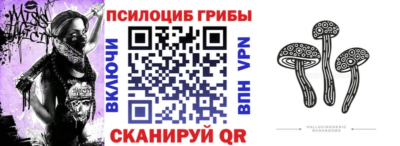 даркнет сайт  мега ТОР  Псилоцибиновые грибы ЛСД  Якутск 
