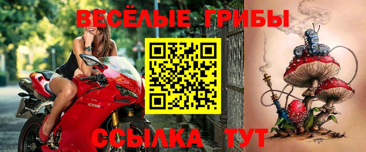 Псилоцибиновые грибы Psilocybine cubensis  Галлюциногенные грибы Psilocybine cubensis  Вход с VPN  что такое   Якутск 